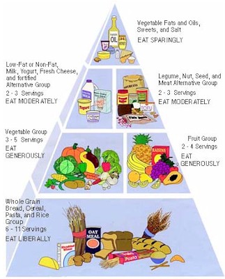 Healthy Food Pyramid Worksheets. age Healthy+food+pyramid+